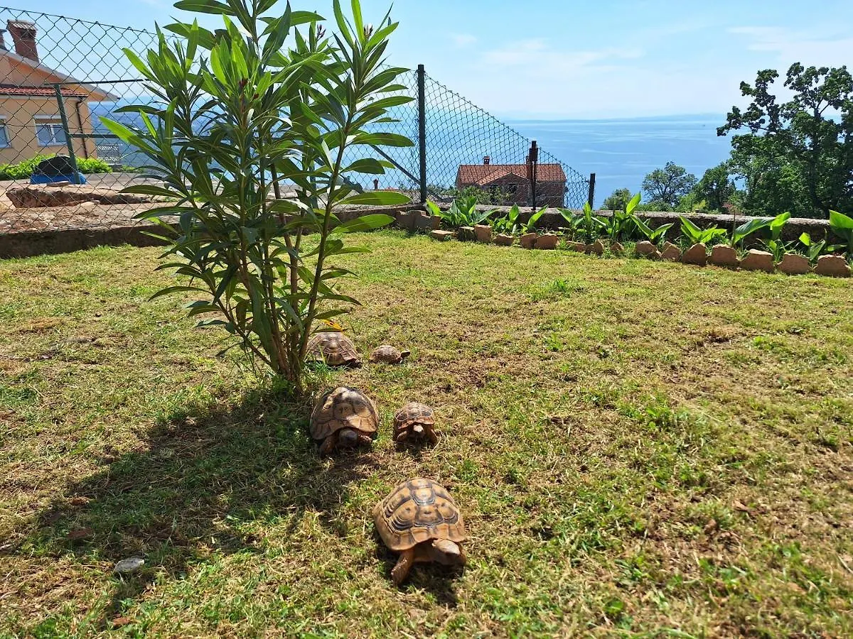 Apartmani Marini Opatija Apartamento